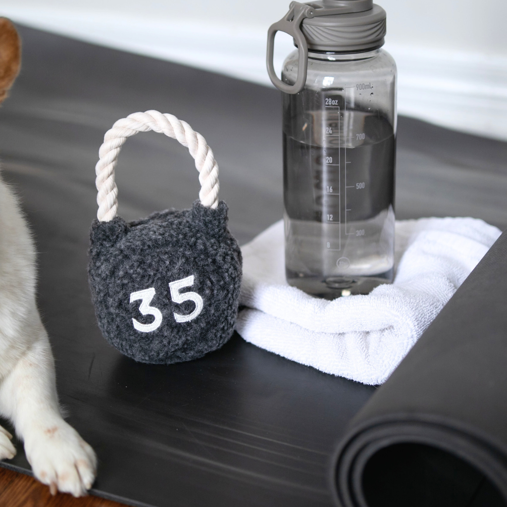 Kettlebell Enrichment Dog Toy studio shot