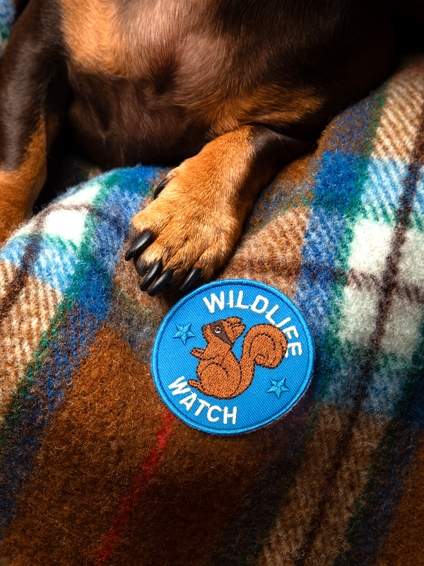 Wildlife Watch Iron-On Patch for Dogs and Cats