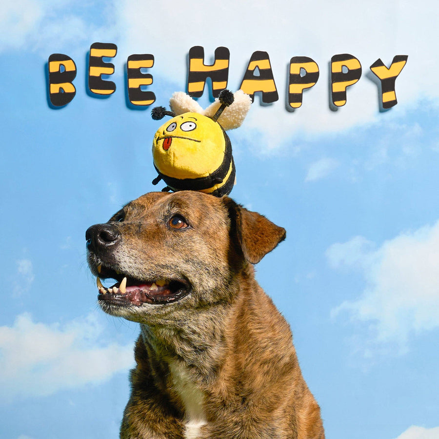 Bee Happy Nosework Toy