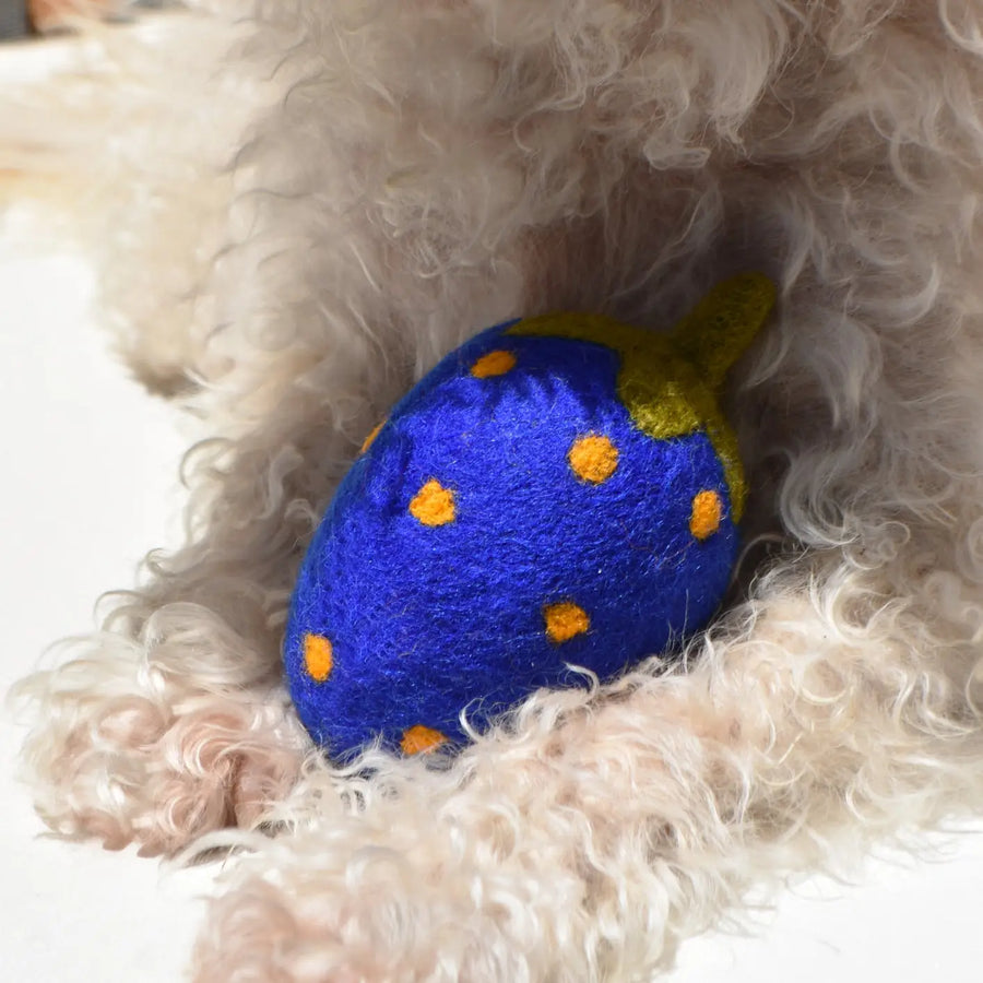 Strawberry Wool Dog Toy