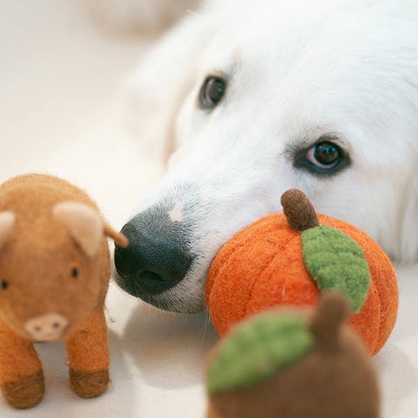 Fall Pumpkin Wool Dog or Cat Toy