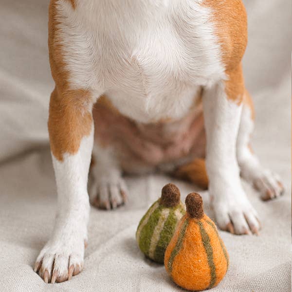 Fall Gourds Wool Cat Toy Set