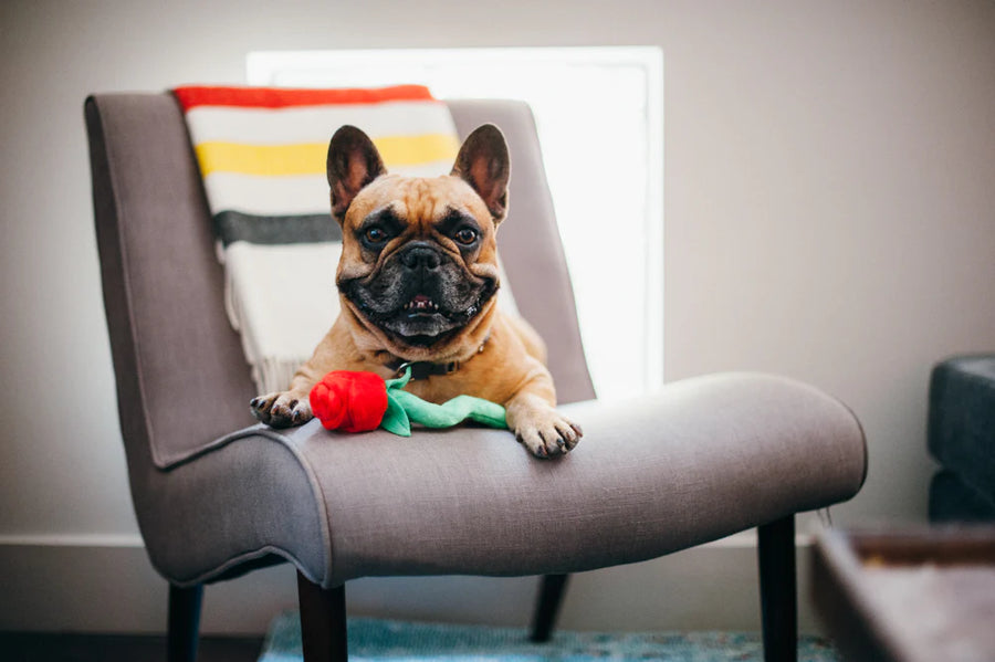 Puppy Love Rover's Roses Toy