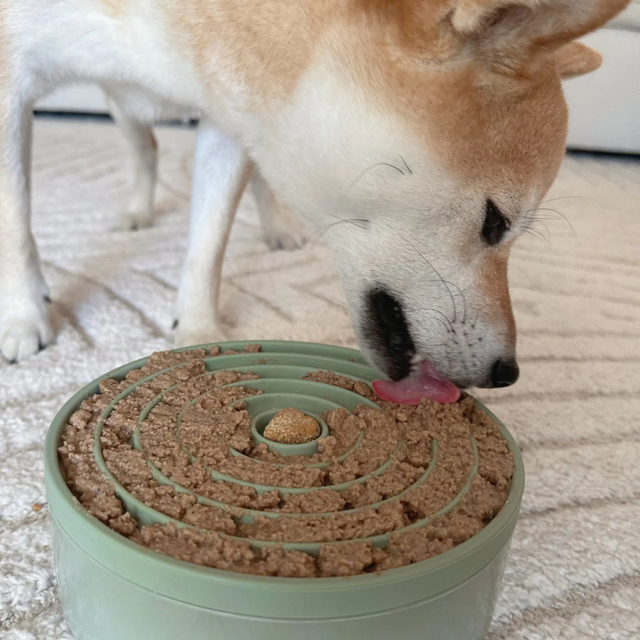 3-in-1 Bento - Lickmats + Slowfeeder
