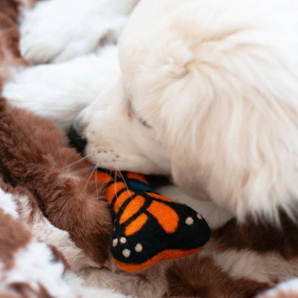 Monarch Butterfly Dog Toy
