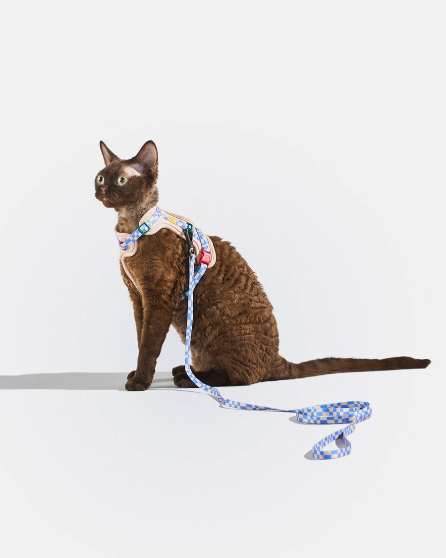 Wild One Cat Harness & Leash