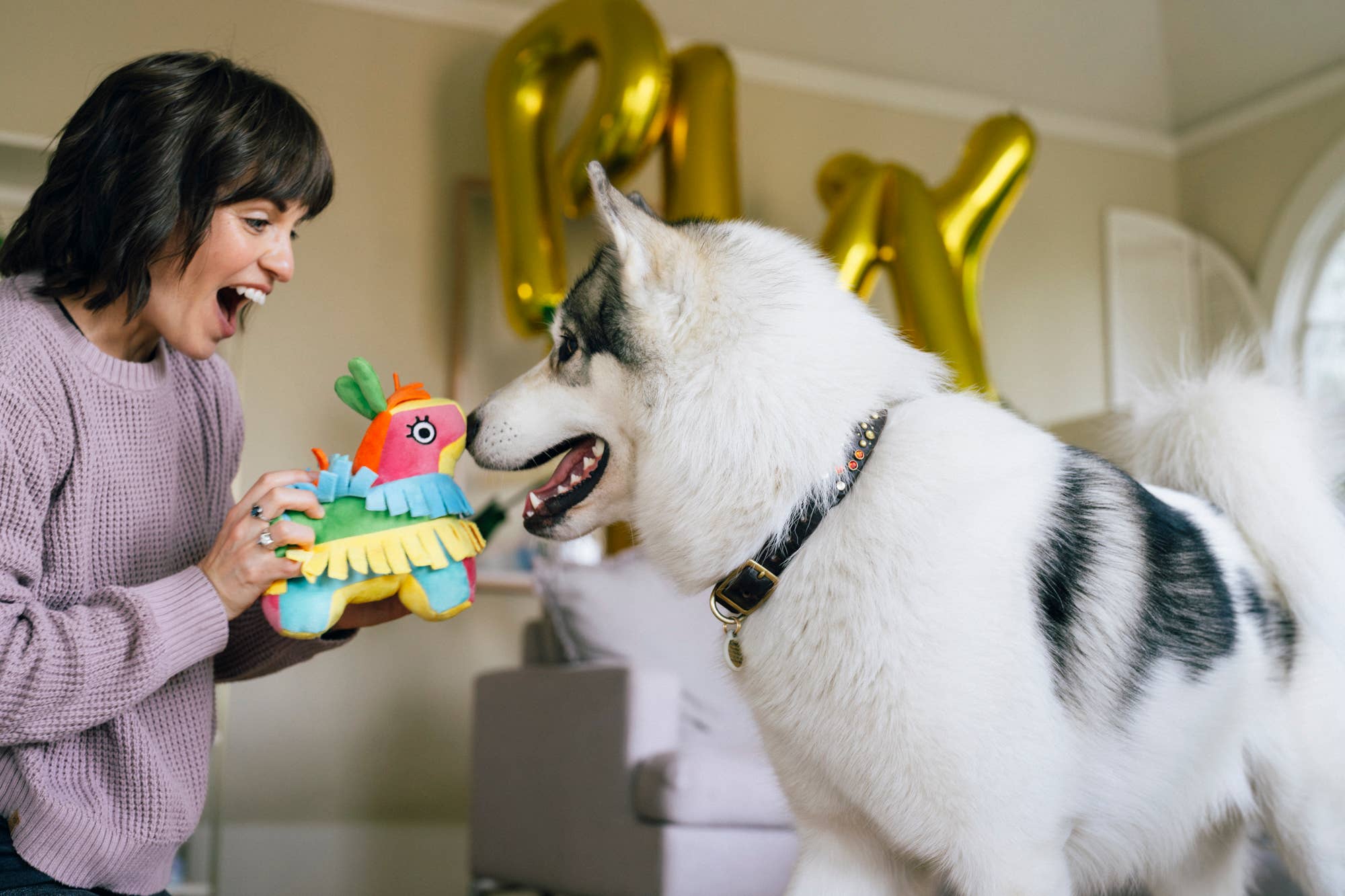 Party Animal - Fiesta Fetch Piñata