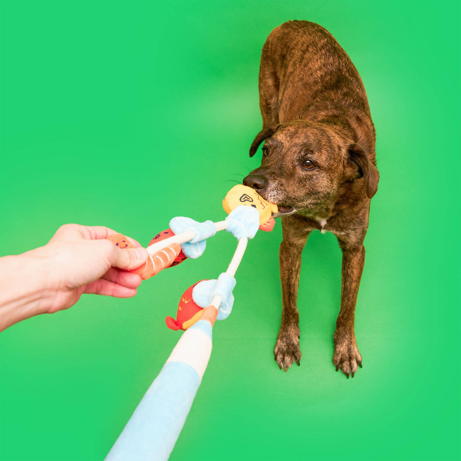 Fishing Nosework & Tug Toy
