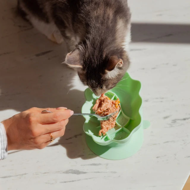Whiskies Cat Bowl