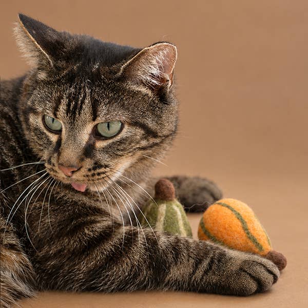 Fall Gourds Wool Cat Toy Set