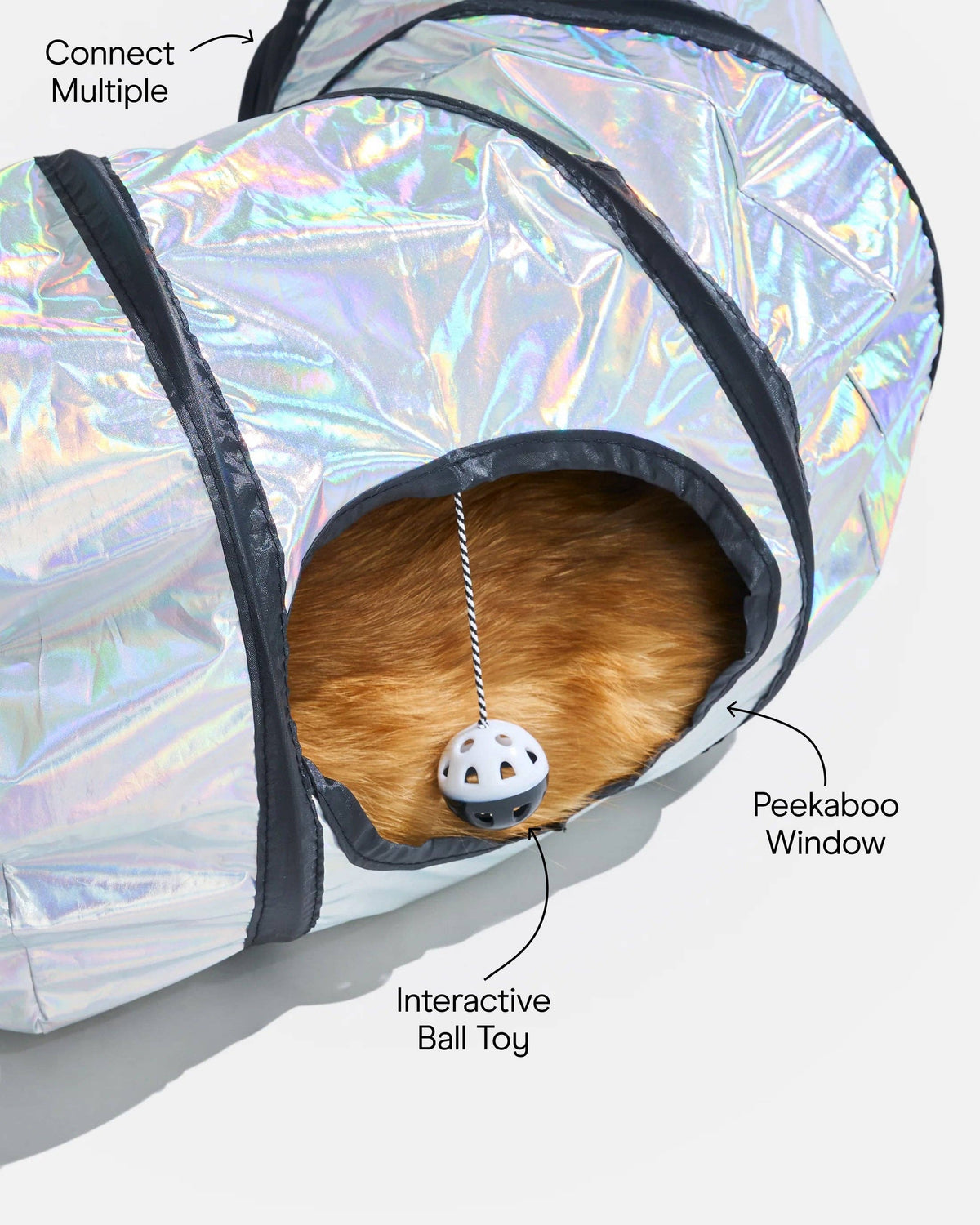 Cat peeking through the Wild One Cat Tunnel window, with connect multiple, peekaboo window, and interactive ball toy callouts