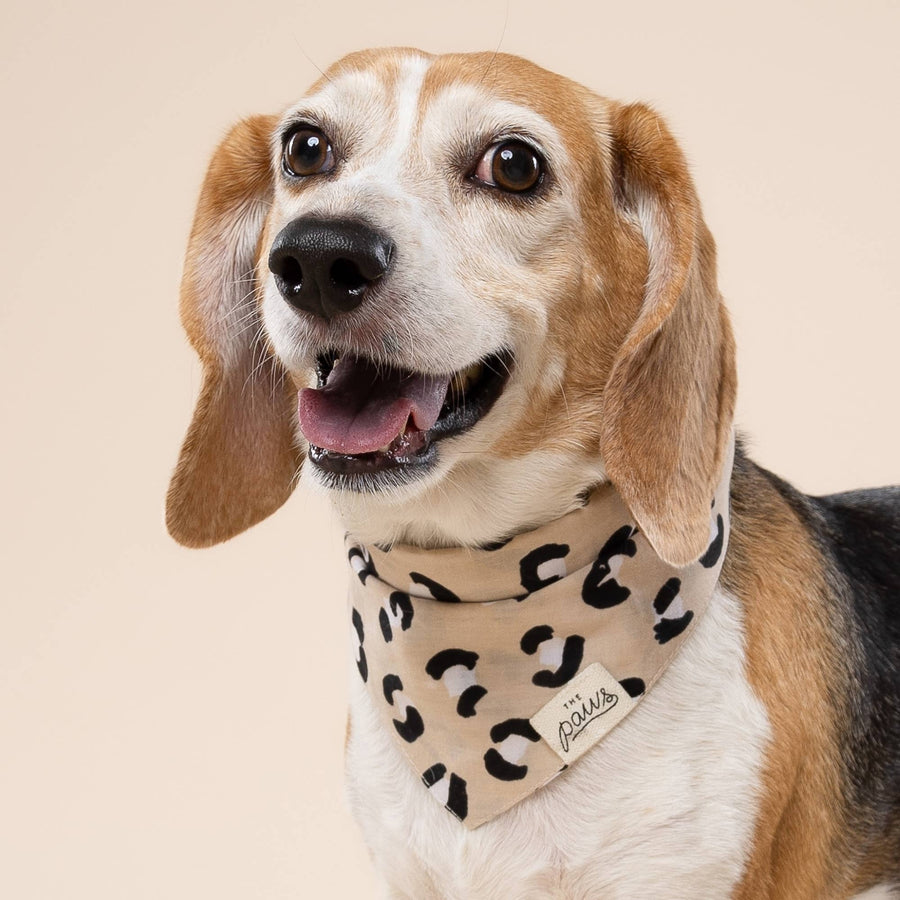 Urban Dog Bandana