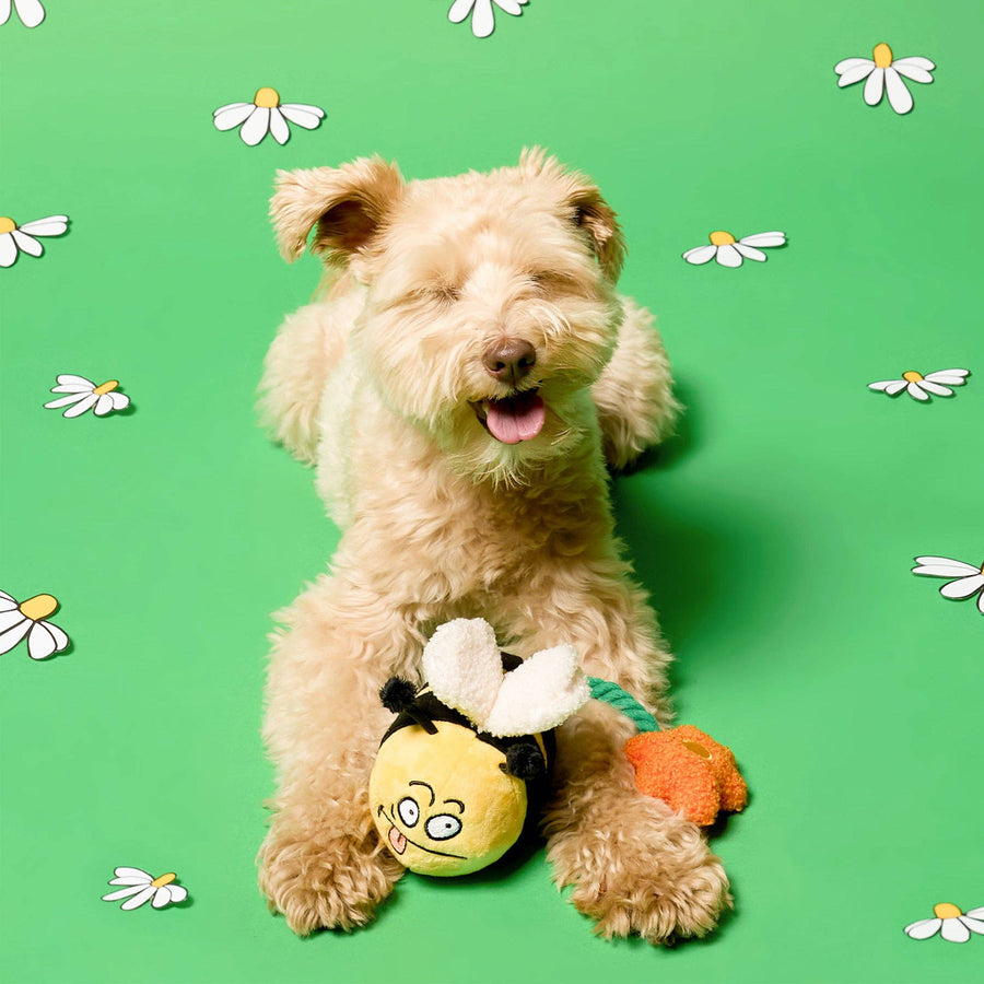 Bee Happy Nosework Toy