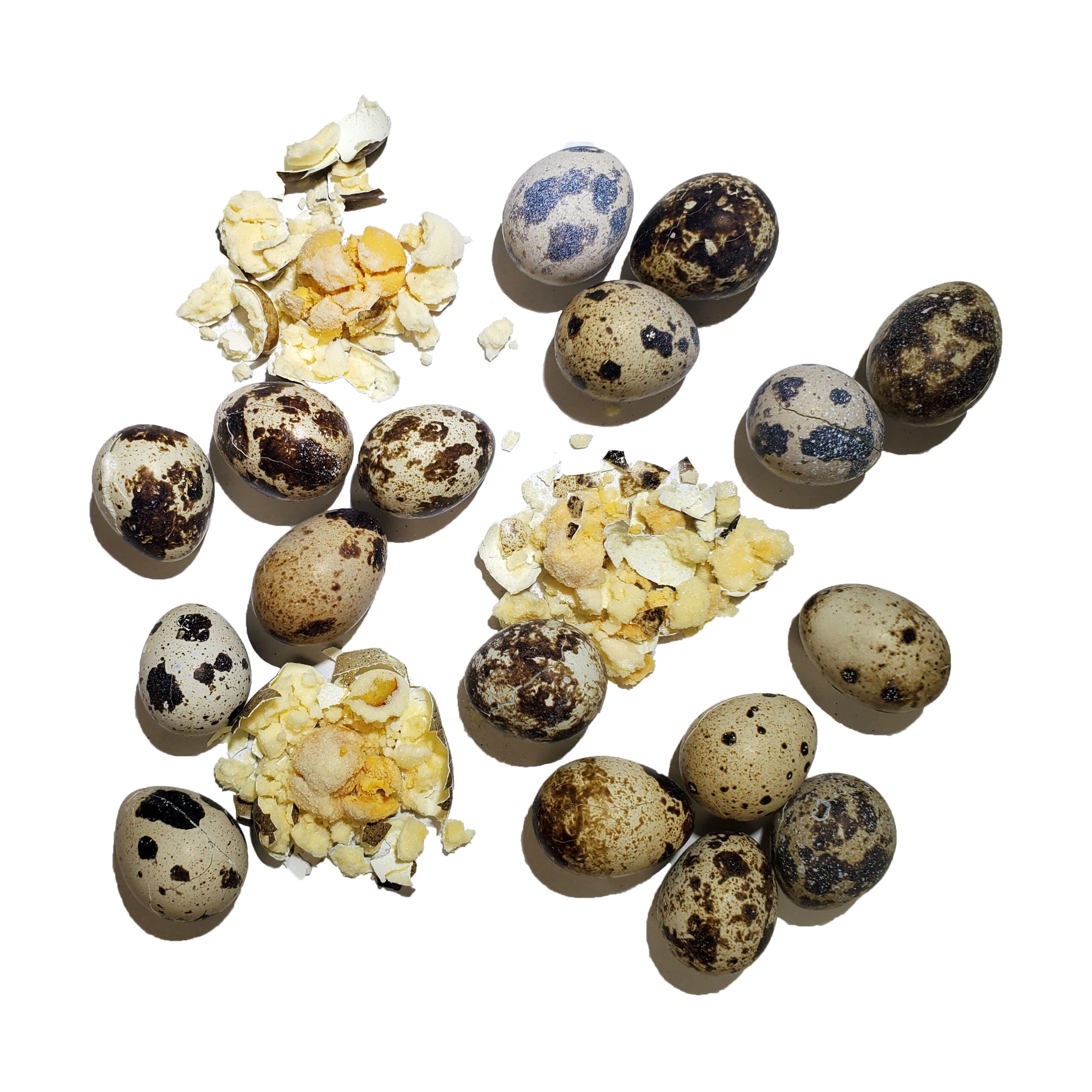 Freeze-Dried Quail Egg Topper