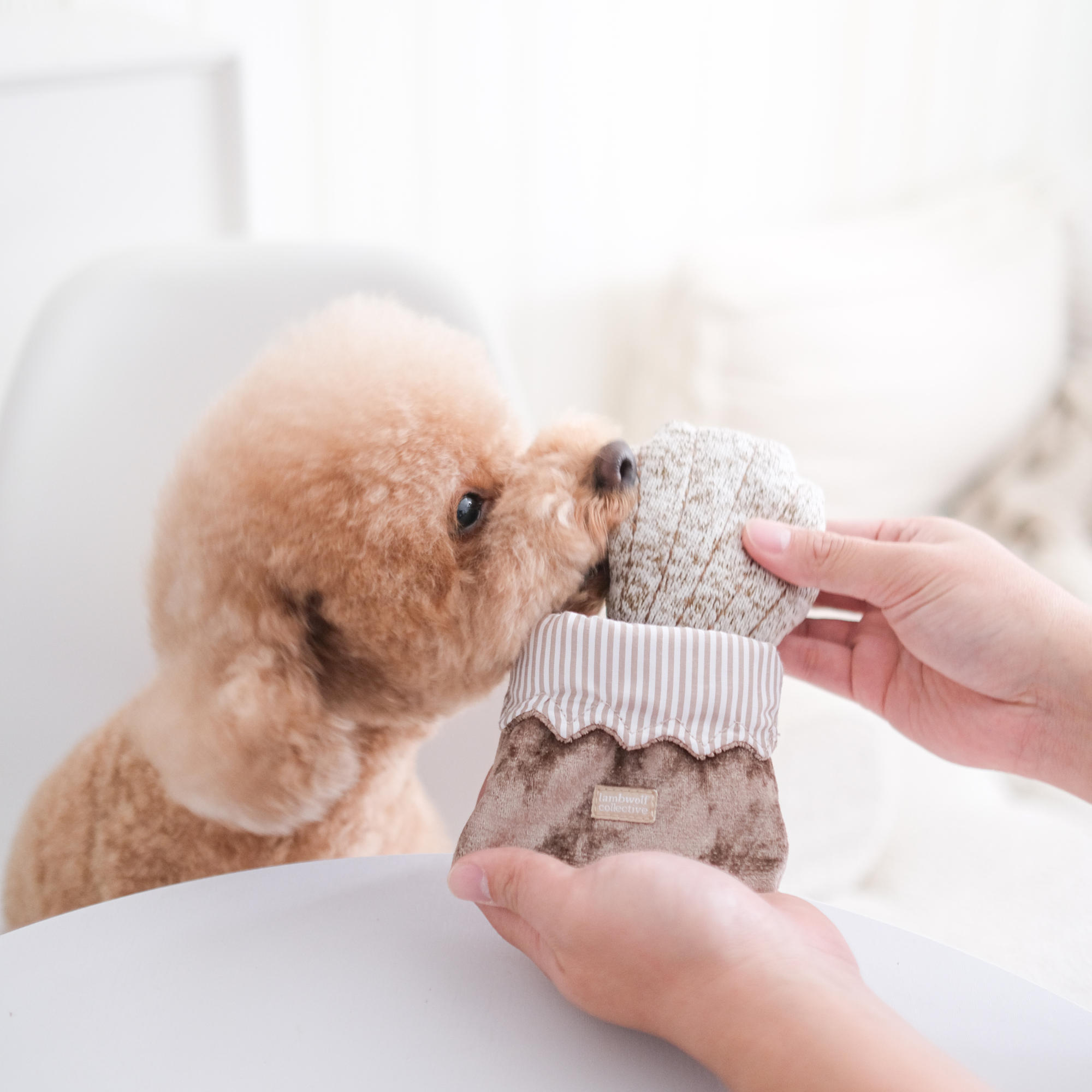 Petite Two Enrichment Dog Toy