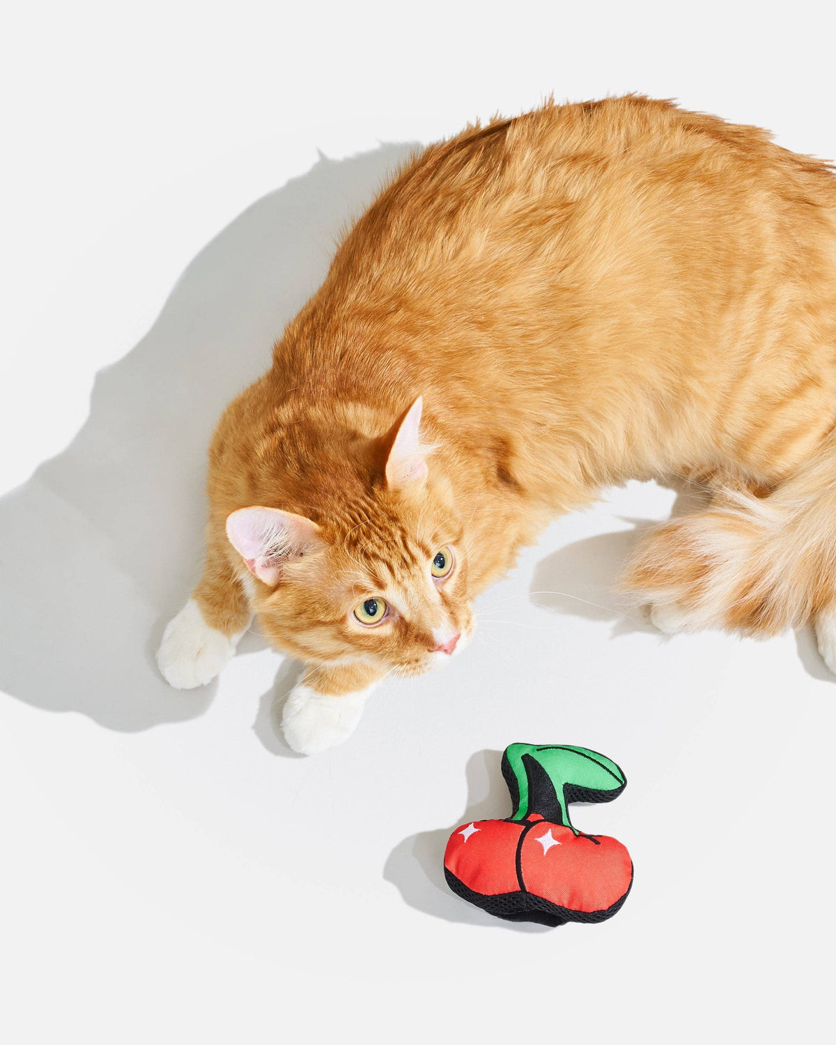 Cat with the Wild One Playful Plush Cat Toy in Cherry