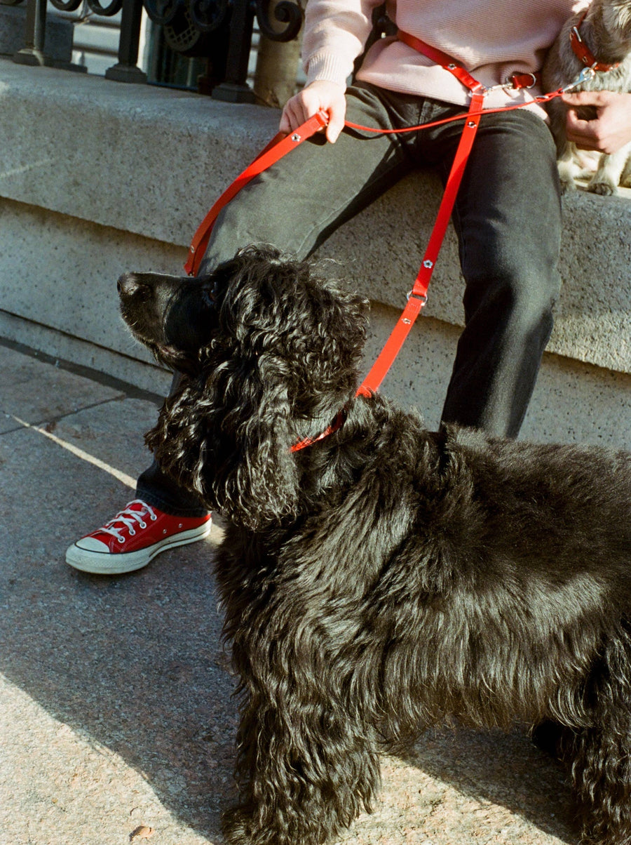 Flower Power Leash