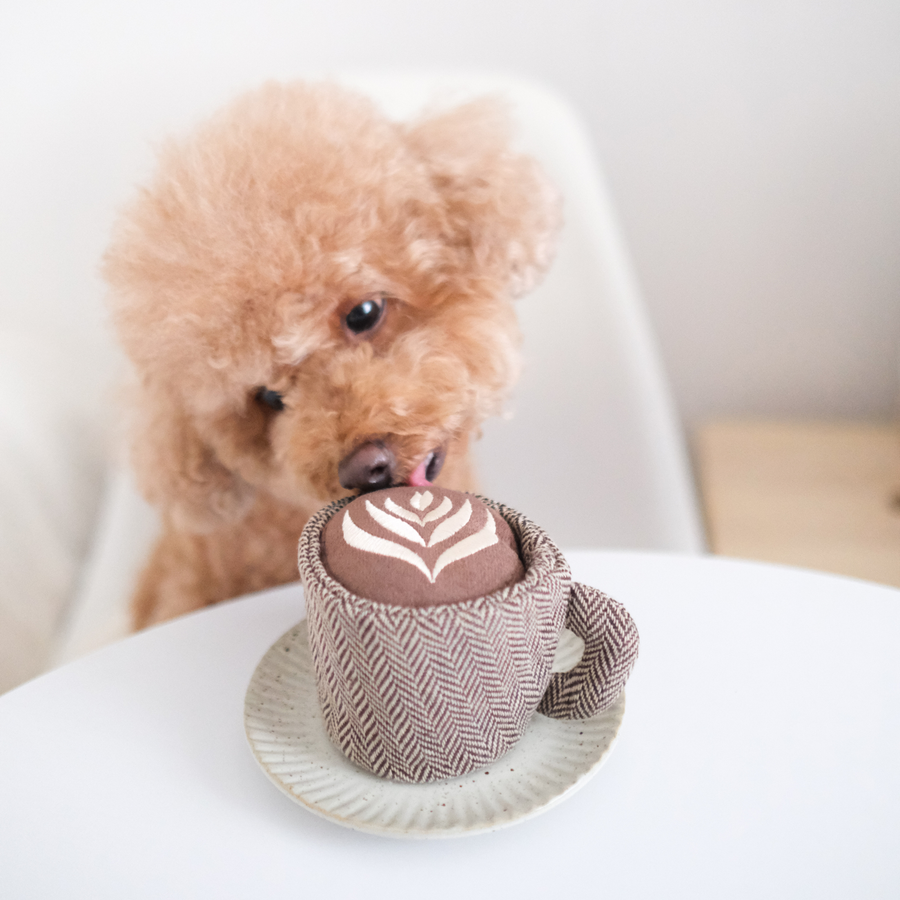 Latte Pop Enrichment Snuffle Toy
