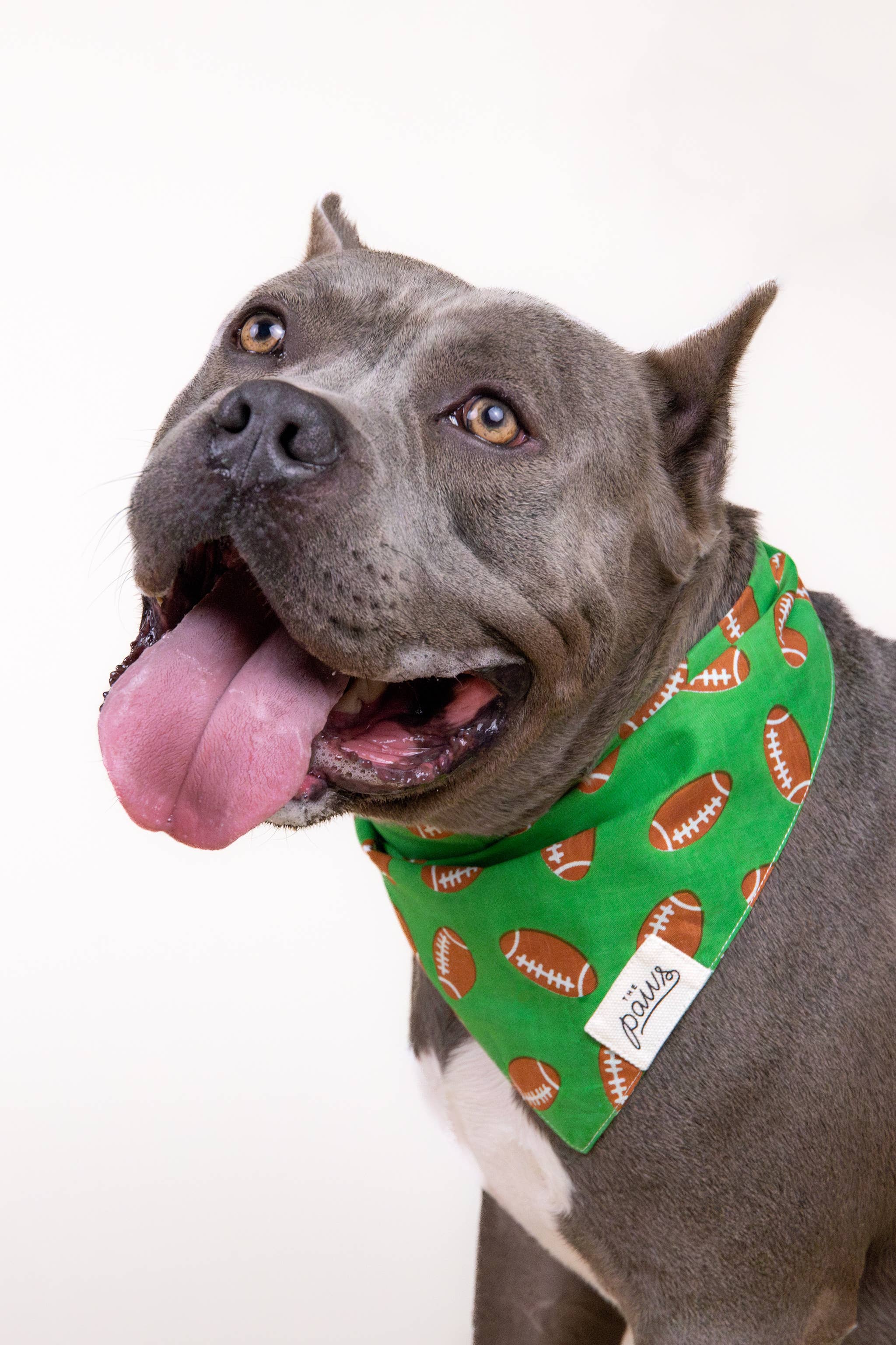 Defender Football Dog Bandana