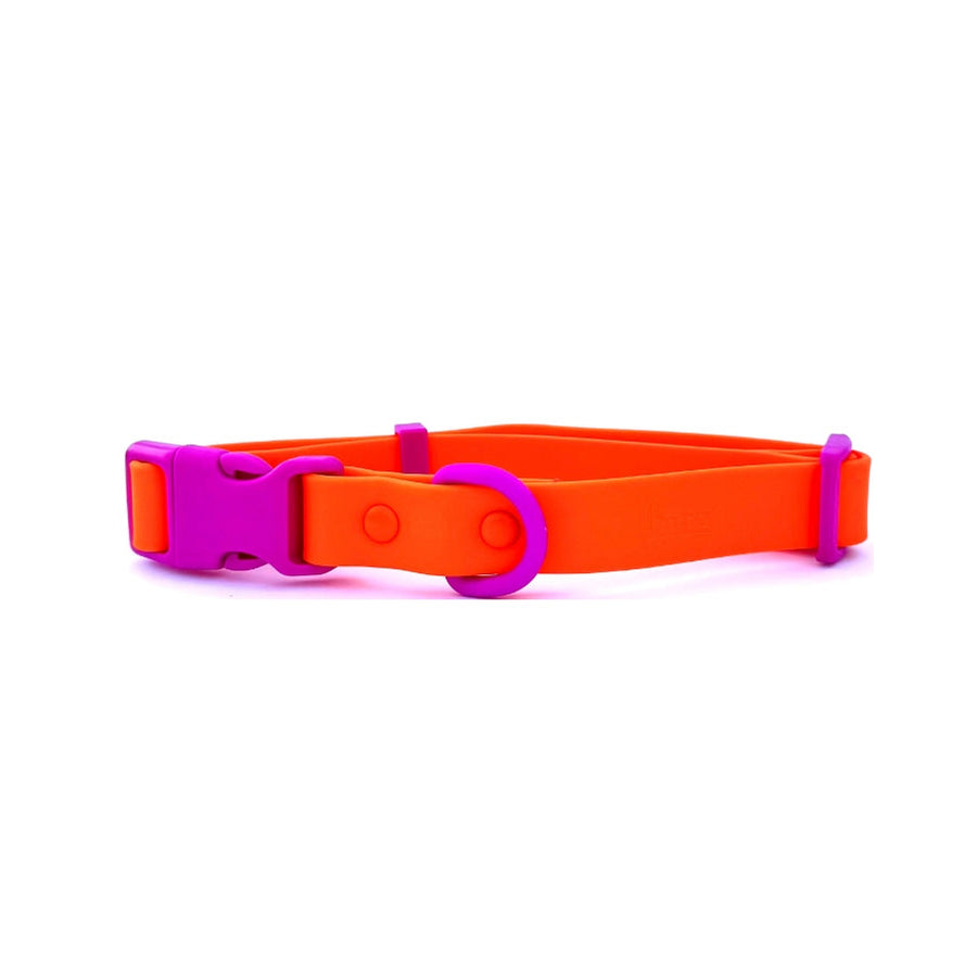 The Fritz Collar