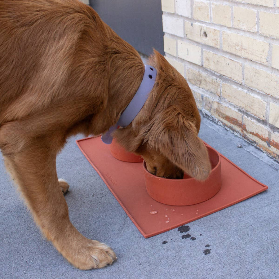 Food Grade Silicone Dog Bowl