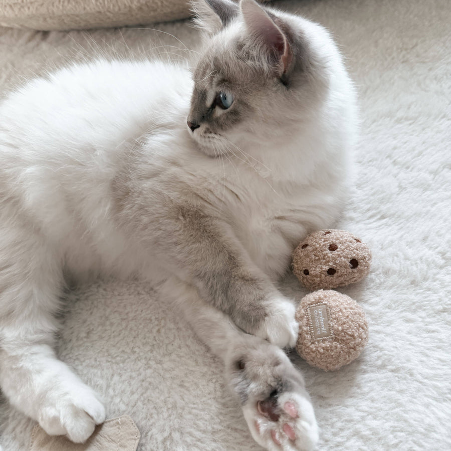 Kitty Tea Time Cat Toy