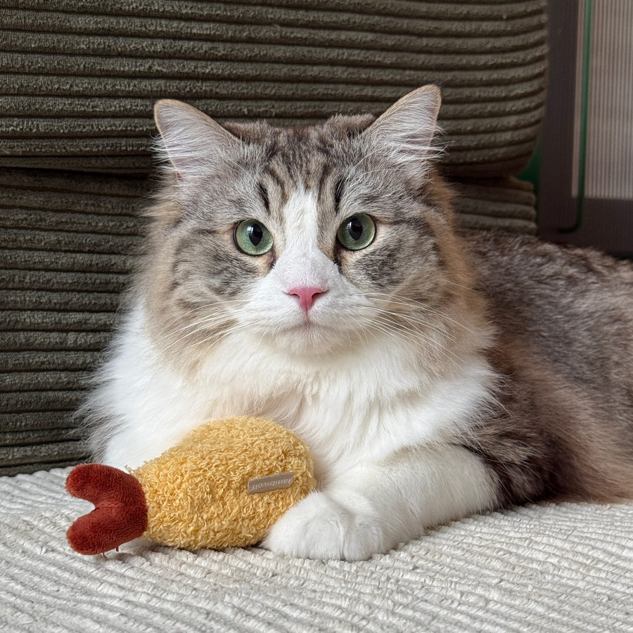 Cat cuddling the Kitty Tempura cat toy