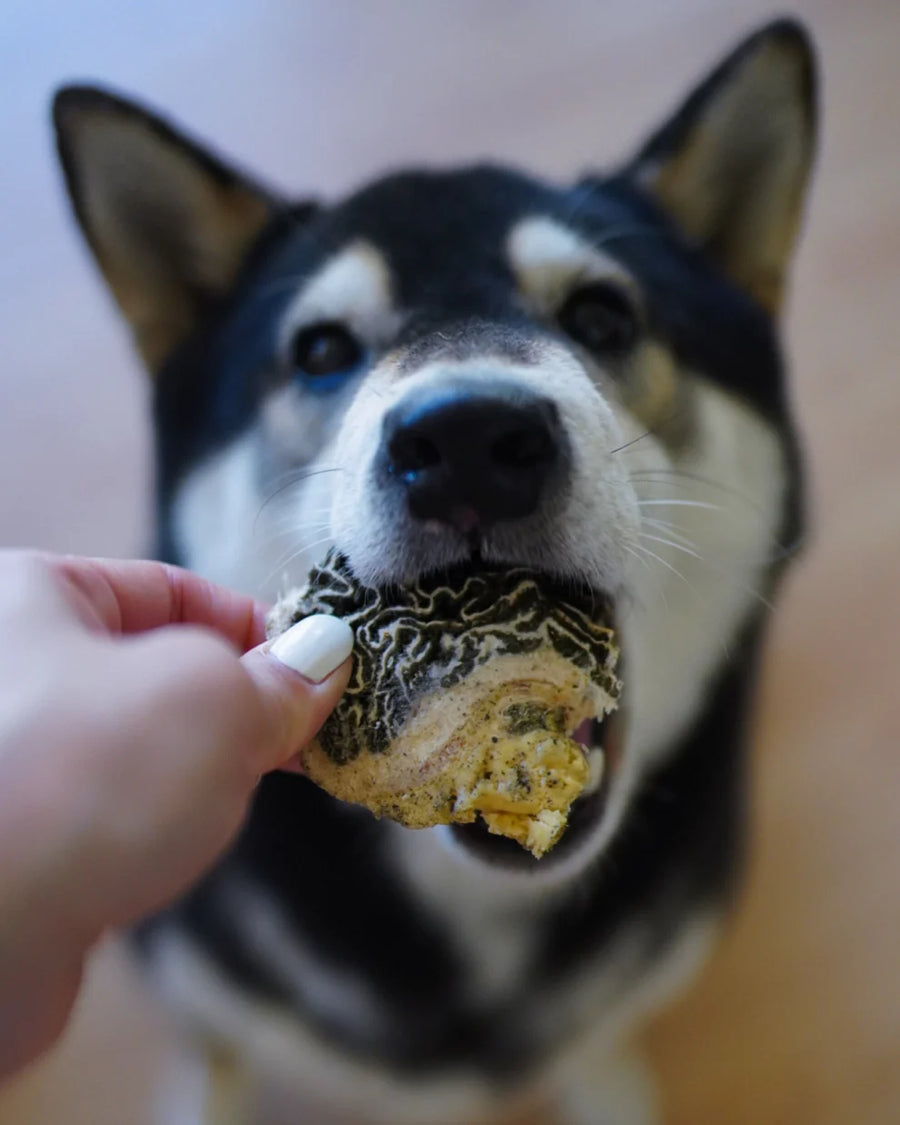 Freeze-Dried Grass-Fed Beef Green Tripe Chunks