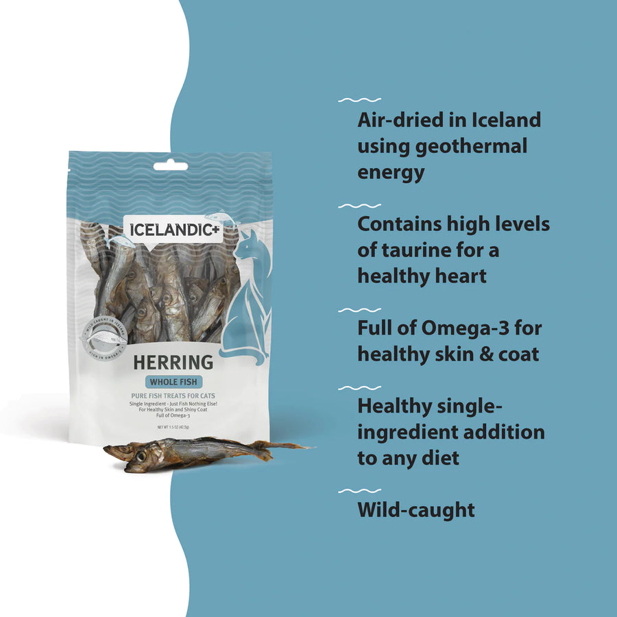 Herring Whole Fish Cat Treats