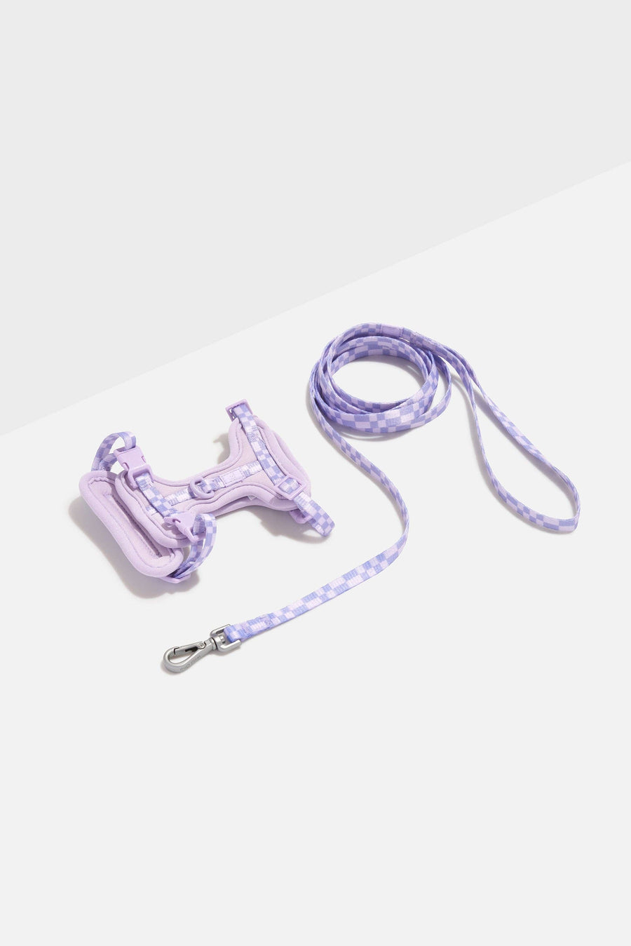 Wild One Cat Harness & Leash