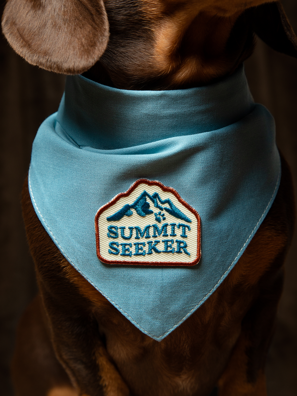 Summit Seeker Iron-On Patch for Dogs and Cats