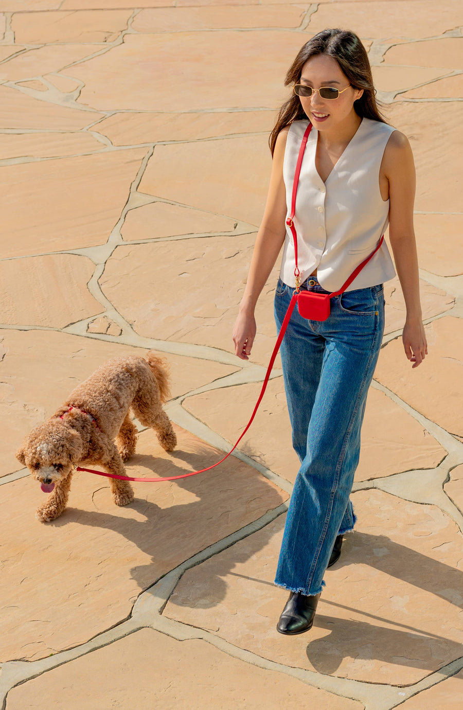 Snap Dog Treat Pouch