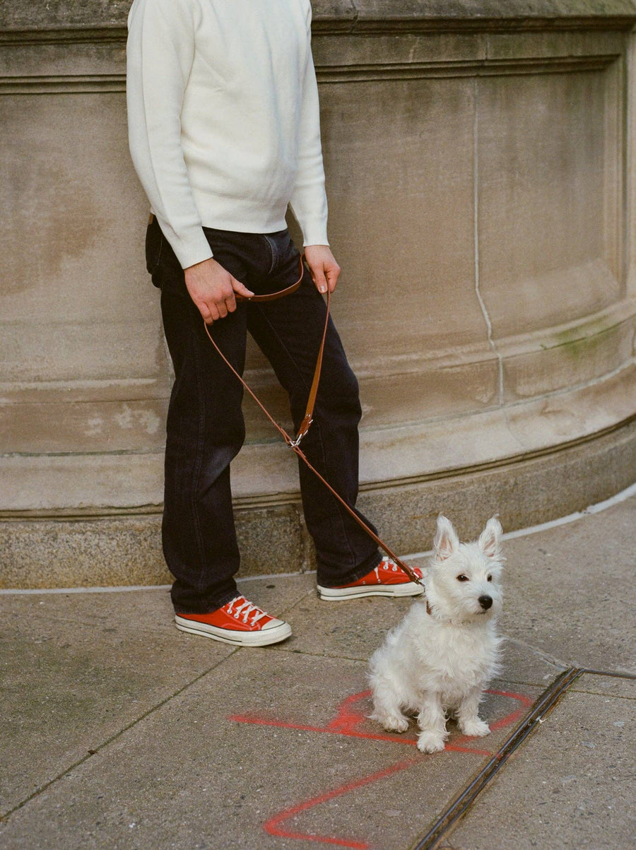 Flower Power Leash