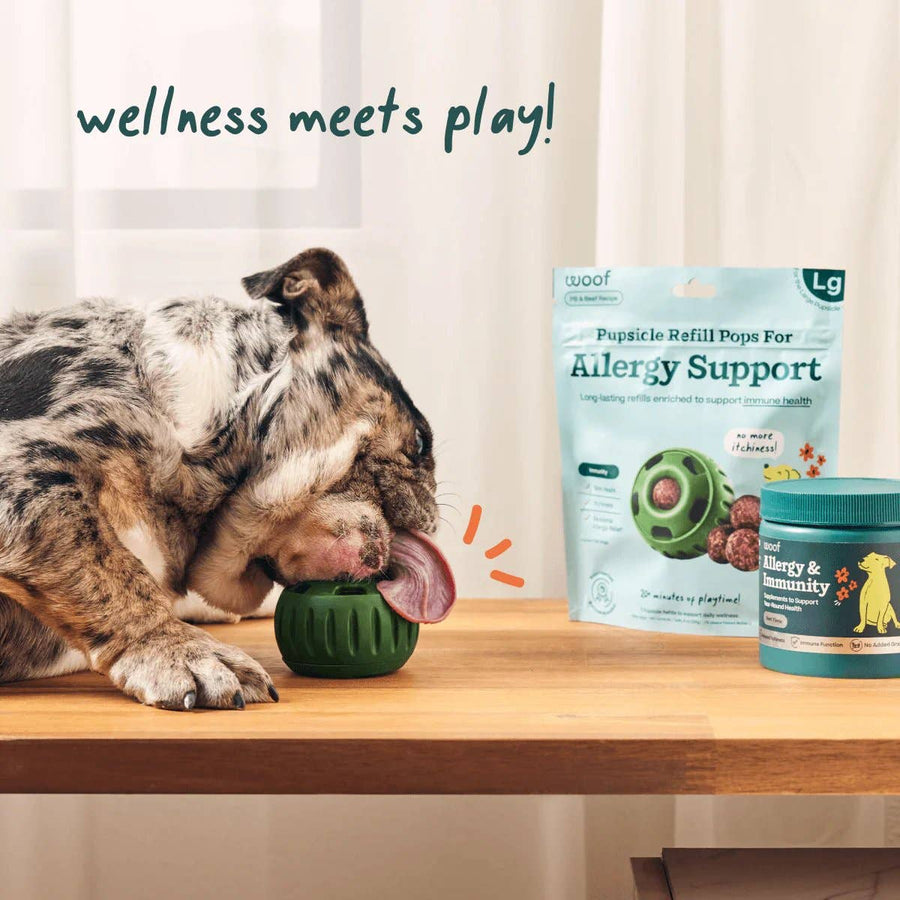 Allergy Support Wellness Pops
