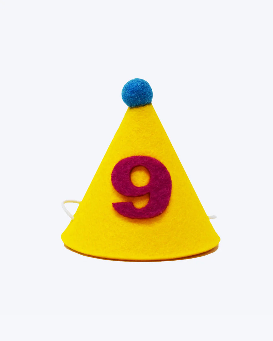 Number Pawty Hat