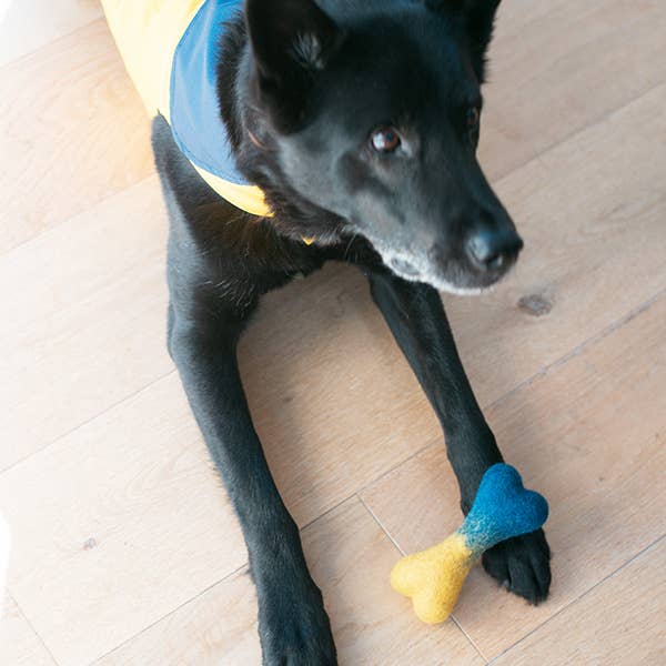Ombre Woolbone Dog Toy
