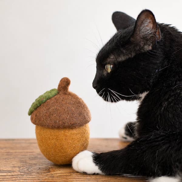 Acorn Wool Dog or Cat Toy