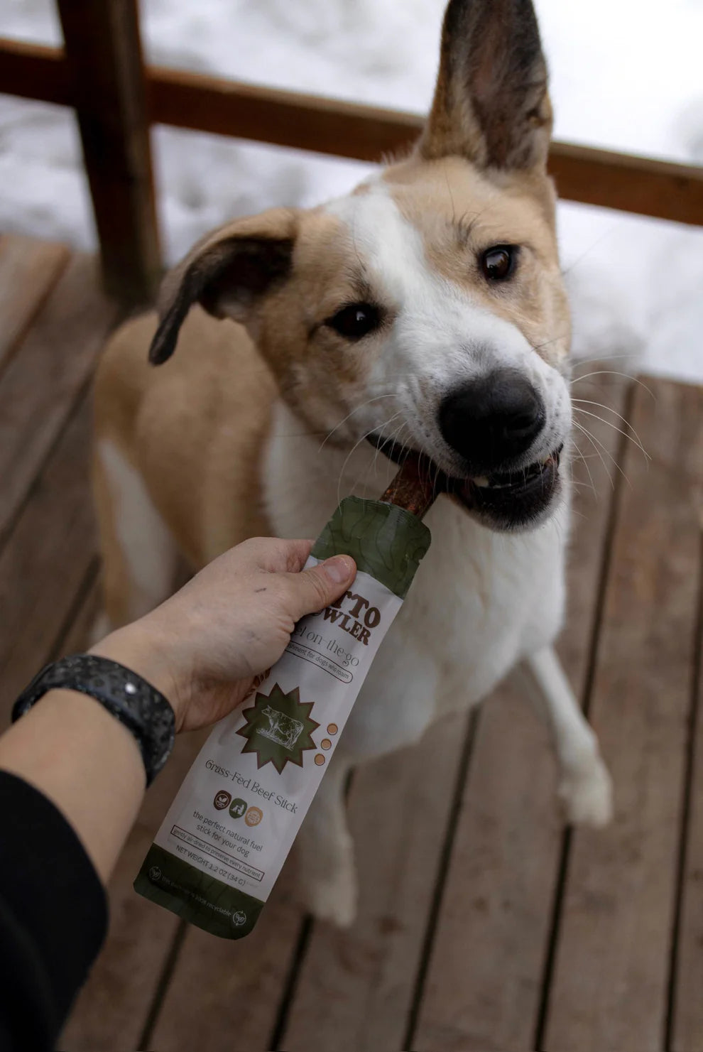 Grass Fed Beef Stick