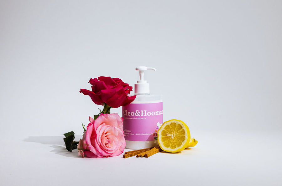 In Bloom Shampoo & Conditioner Duo
