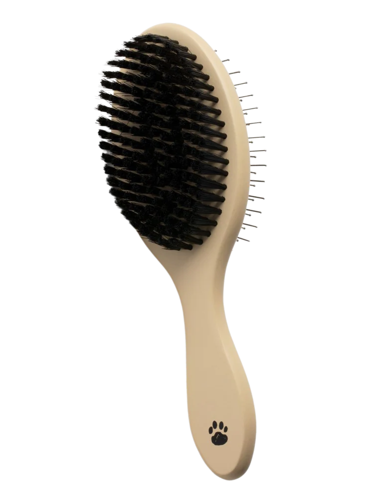 Double-Sided Daily Brush