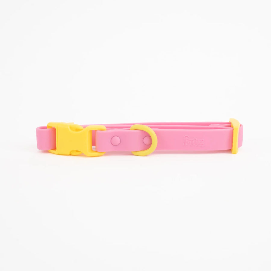 The Fritz Collar