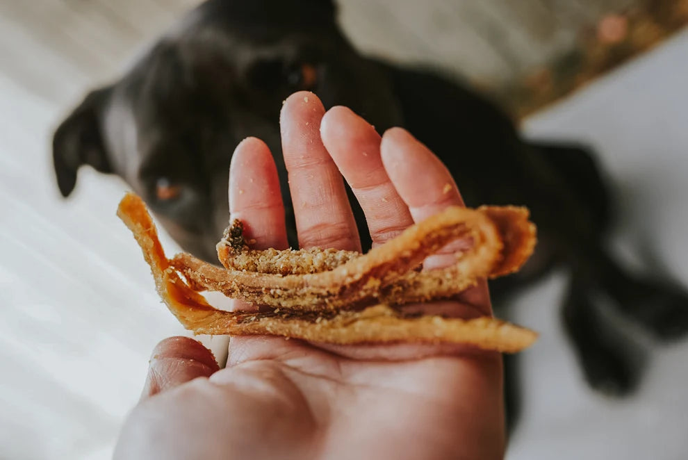 Dehydrated Bison Green Tripe | 3 oz