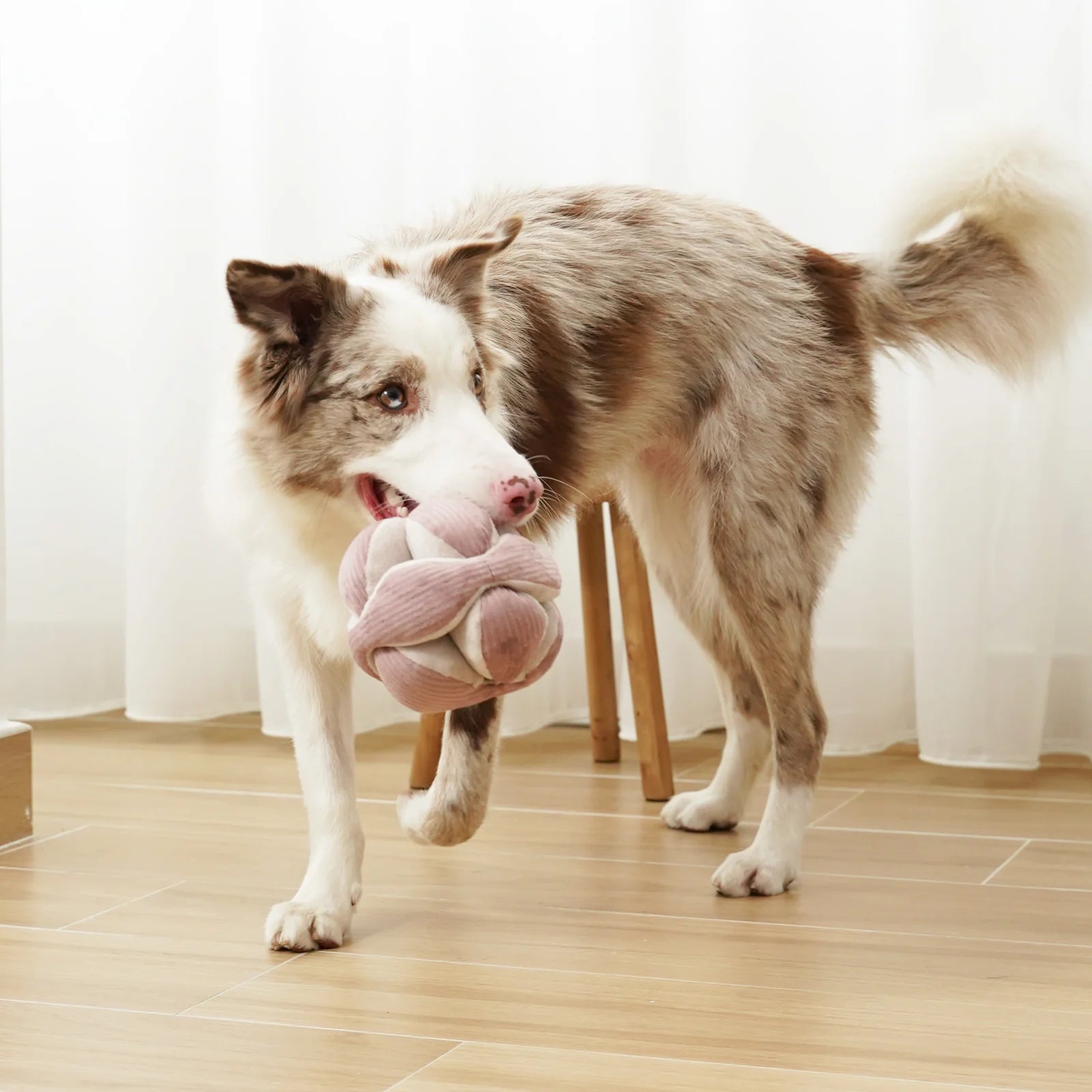 Monti Silent Snuffle Ball