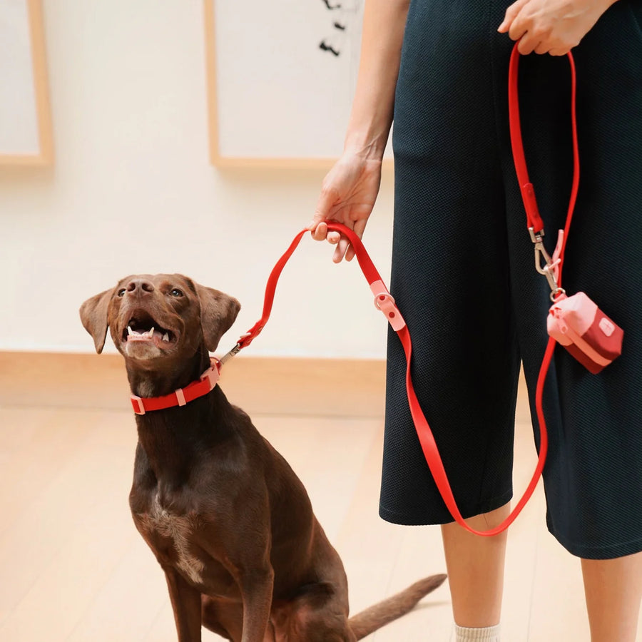 The Fritz Collar