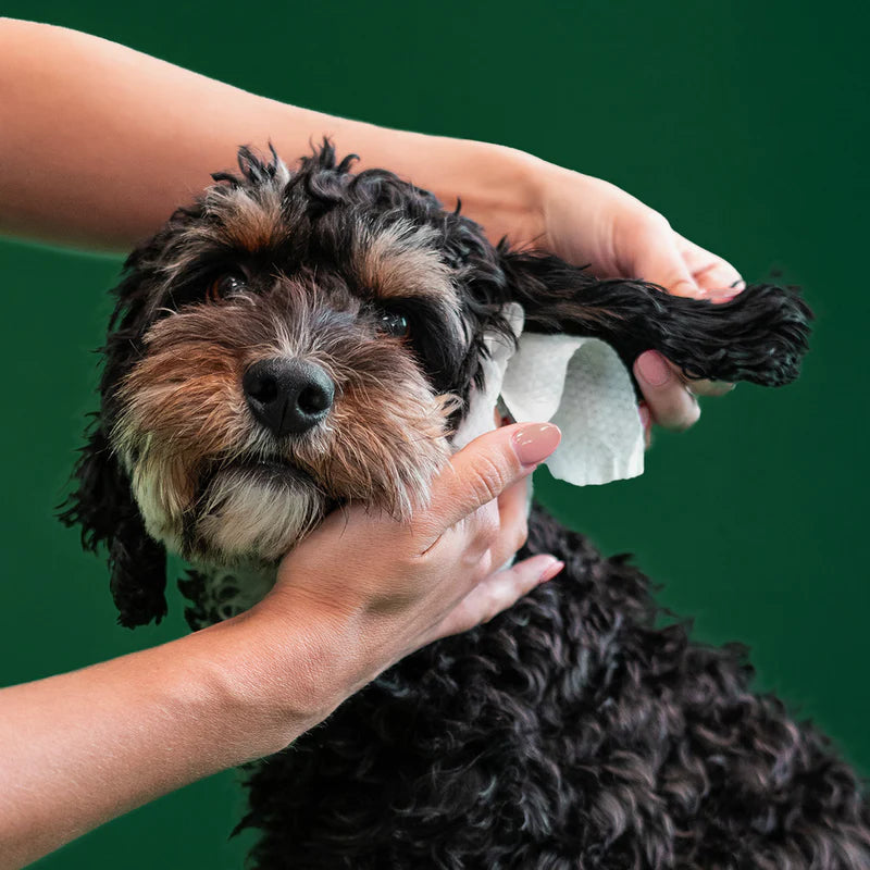 Ear Wipes