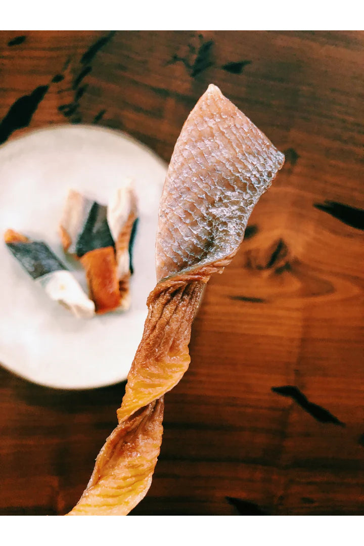 Salmon Skin