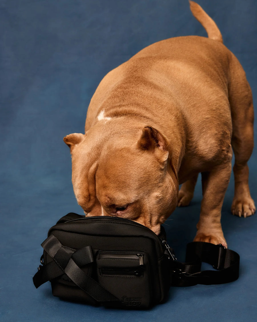 Walking Bag
