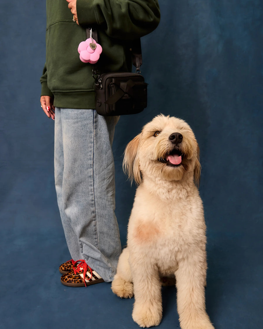 Walking Bag
