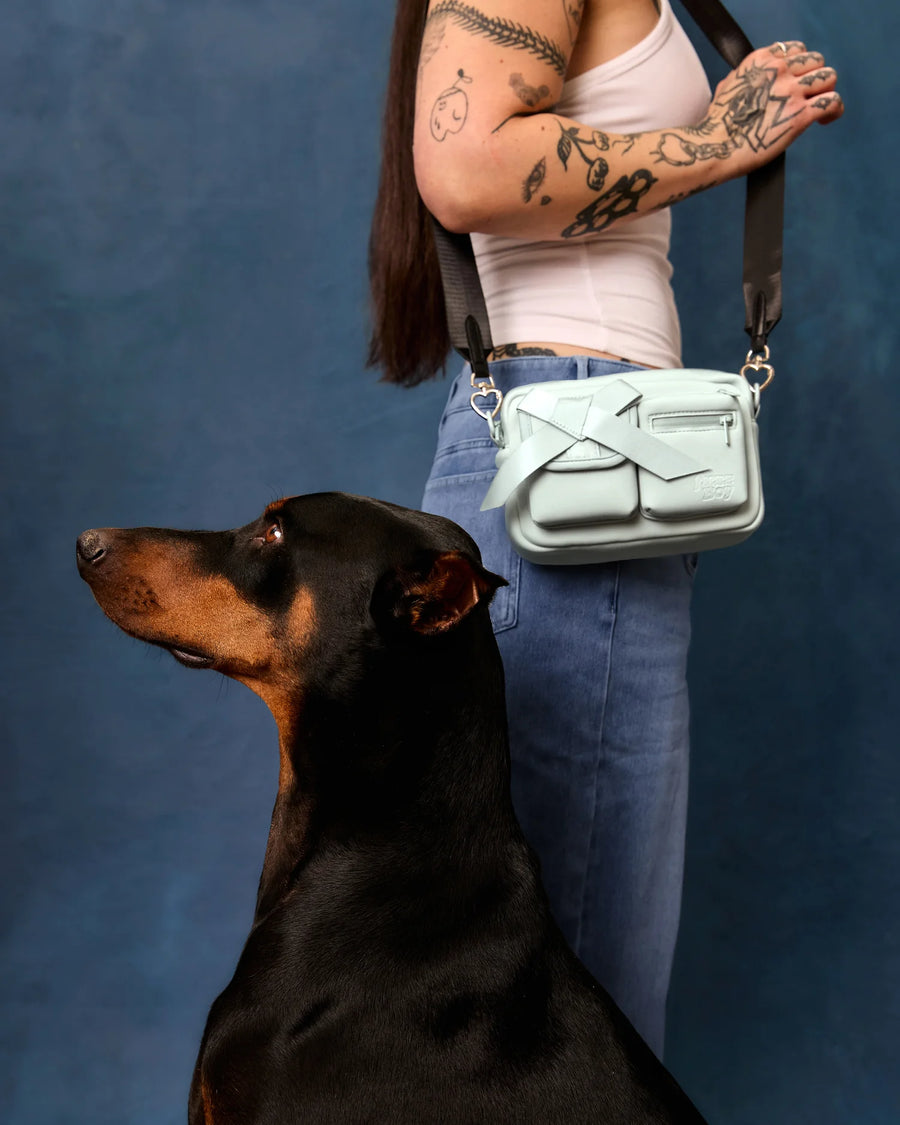 Walking Bag