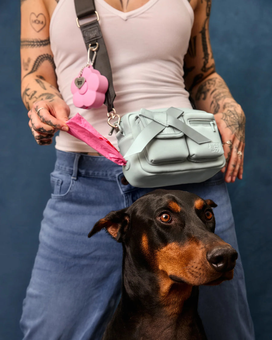 Walking Bag
